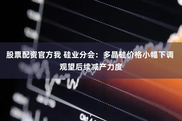 股票配资官方我 硅业分会：多晶硅价格小幅下调 观望后续减产力度